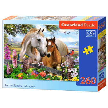 Castorland In the Summer Meadow puzzel - 260 stukjes